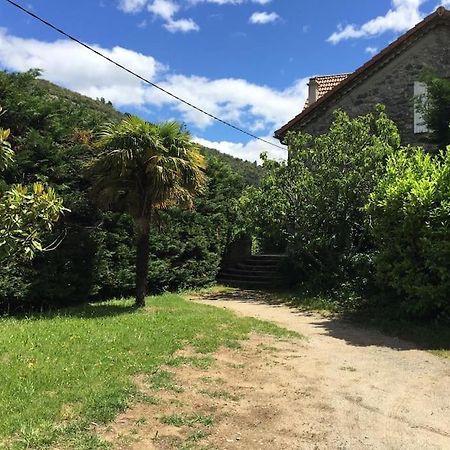 Grande Maison Familiale En Pierres Sud Ardeche Lalevade-dʼArdèche エクステリア 写真