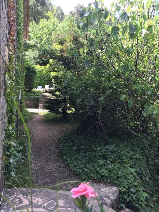 Grande Maison Familiale En Pierres Sud Ardeche Lalevade-dʼArdèche エクステリア 写真