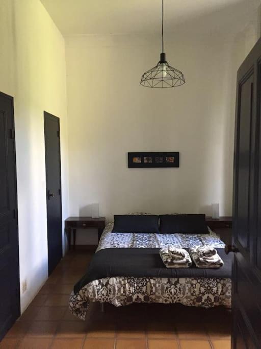 Grande Maison Familiale En Pierres Sud Ardeche Lalevade-dʼArdèche エクステリア 写真