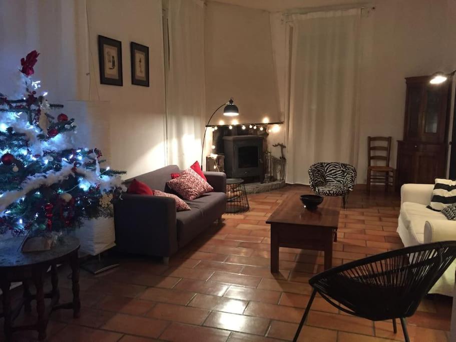 Grande Maison Familiale En Pierres Sud Ardeche Lalevade-dʼArdèche エクステリア 写真
